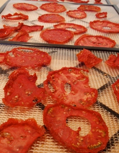 Dehydrated tomatoes