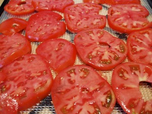 Tomatoes ready for the dehydrator